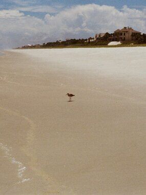 Meet your Posher, Gracie